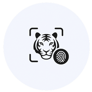 Unique tiger identification